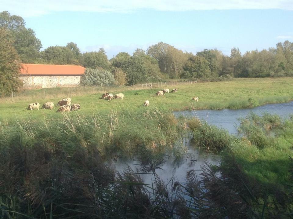 Lackford Lakes Barns Flempton ภายนอก รูปภาพ